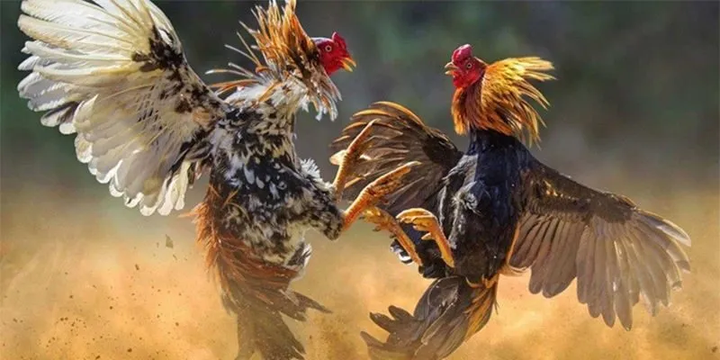 Chiến lược chơi game ăn thưởng cực đậm